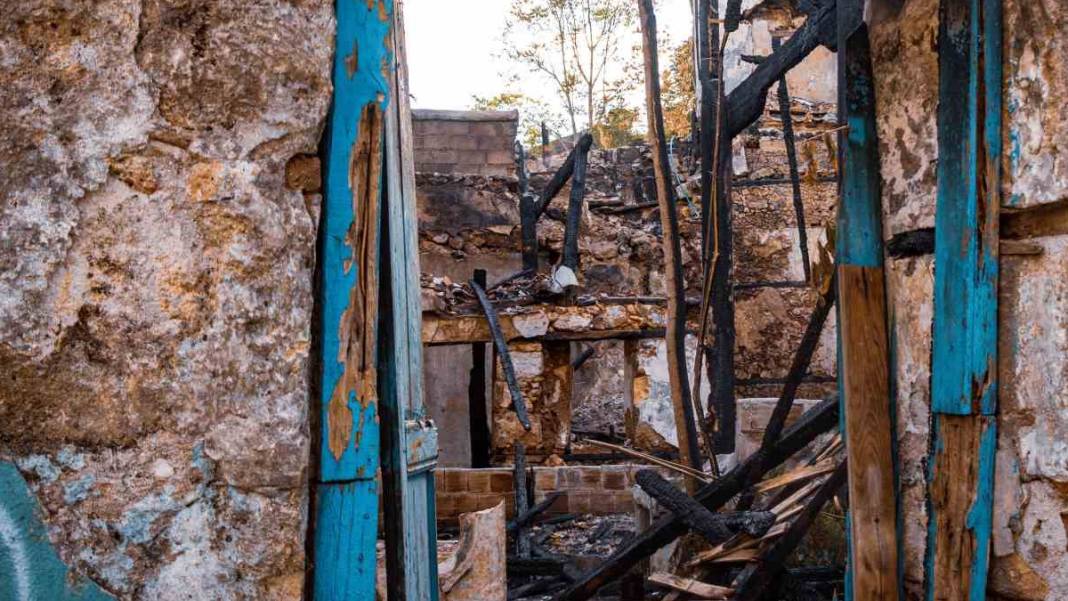 Küle dönen evde 6 yavrusunu arıyor 3